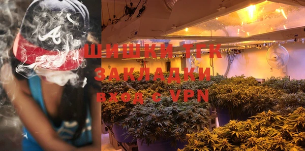 хмурый Инсар