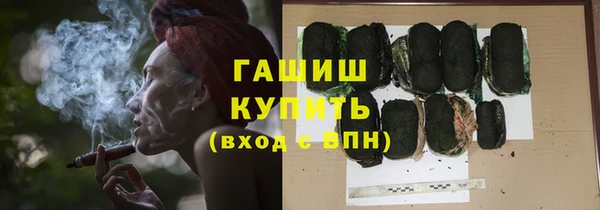 хмурый Инсар