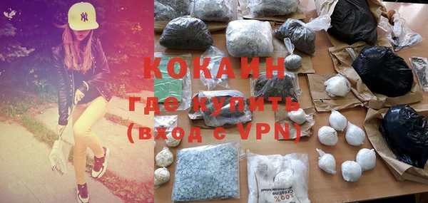 стафф Инта