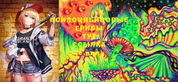 стафф Инта