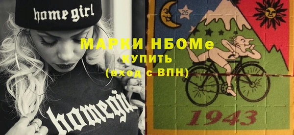 хмурый Инсар