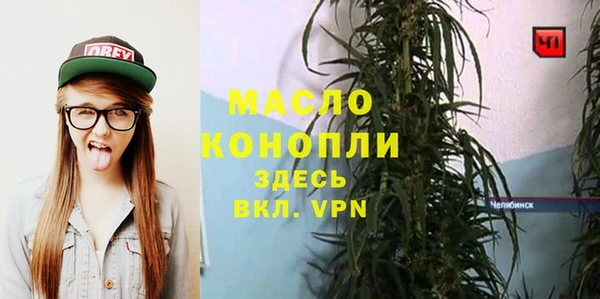 хмурый Инсар