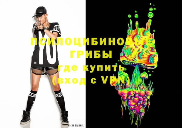 хмурый Инсар